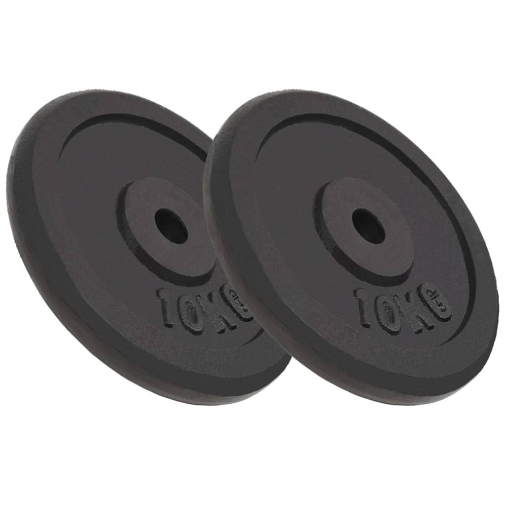 Hantelscheibe 40 kg Gusseisen