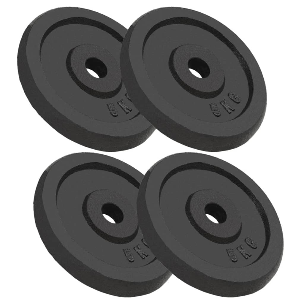 Hantelscheibe 40 kg Gusseisen