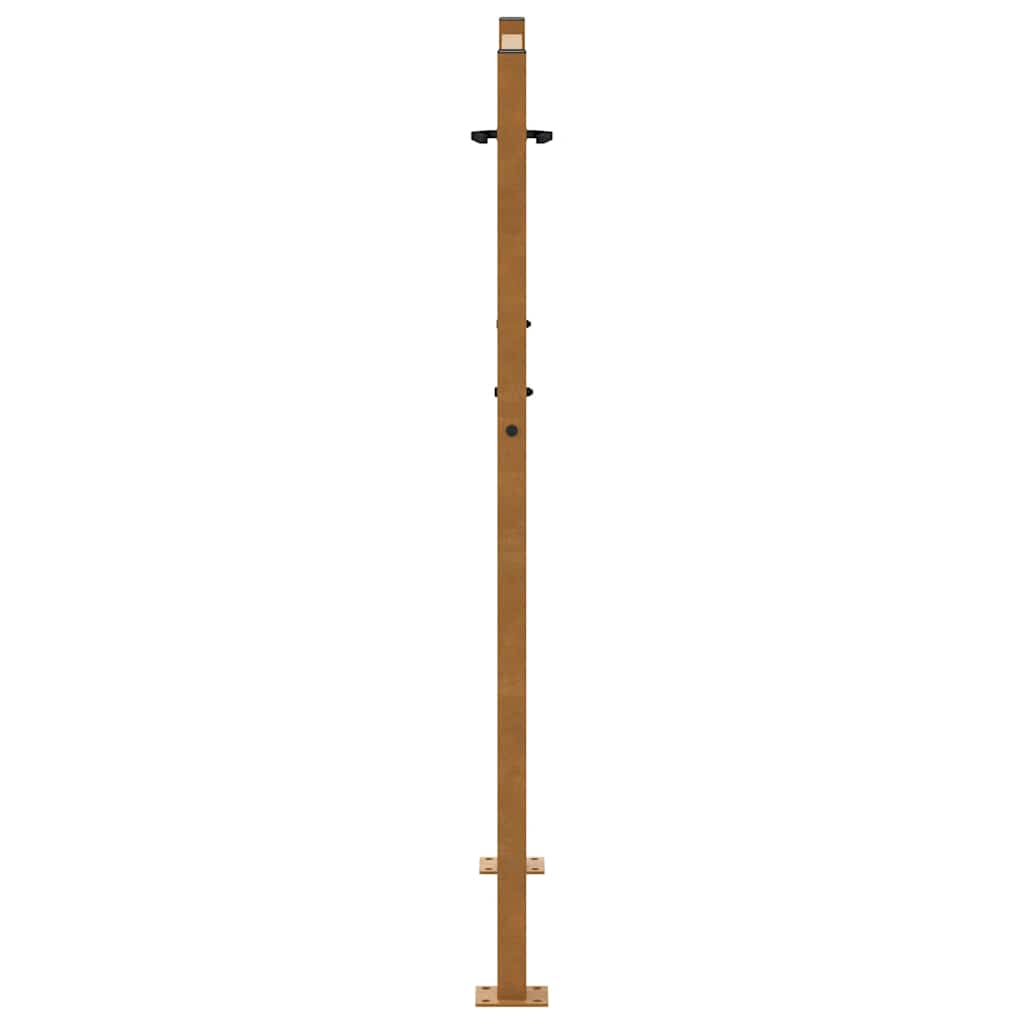 Gartentor Schwarz 100x100 cm Stahl Lichtdesign