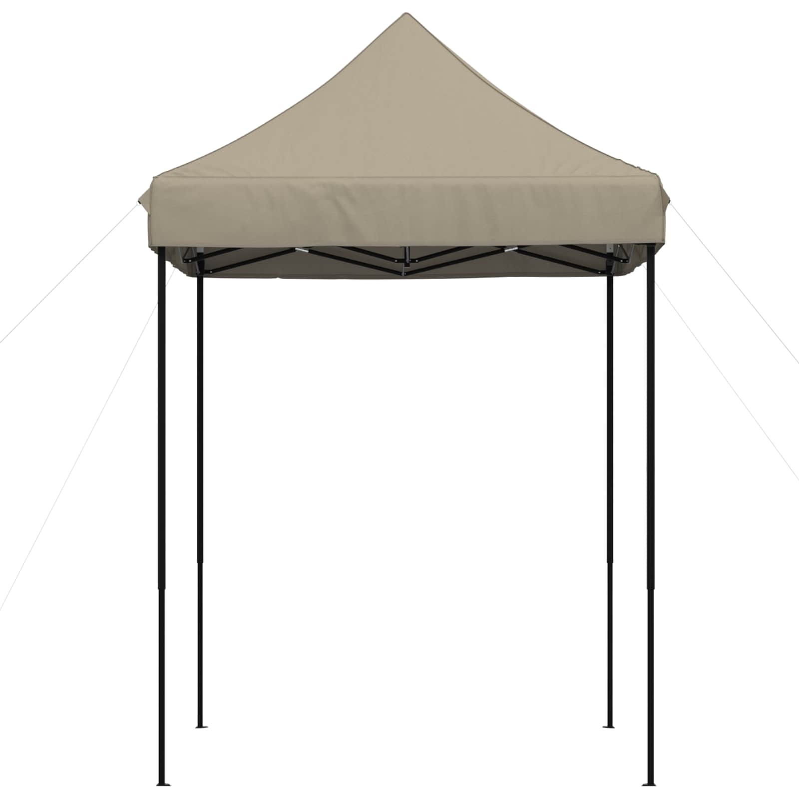 Partyzelt Faltbar Pop-Up Schwarz 200x200x306 cm