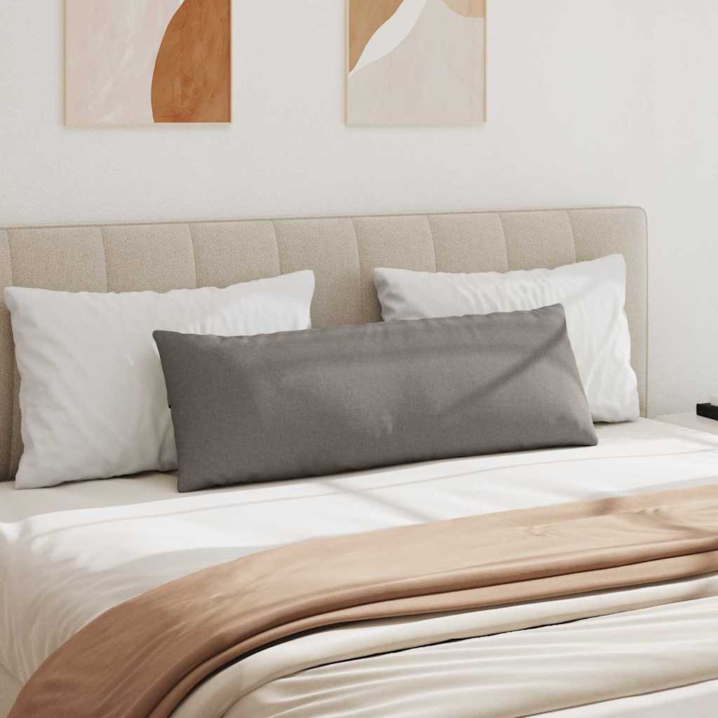 Sofakissen 2 pcs Hellgrau 50 x 30 cm Stoff