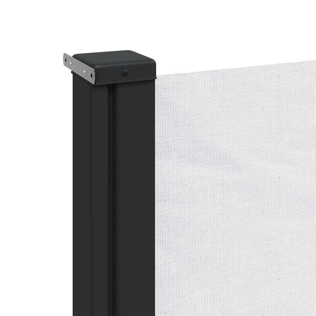 Seitenmarkise Ausziehbar Schwarz 100x300 cm