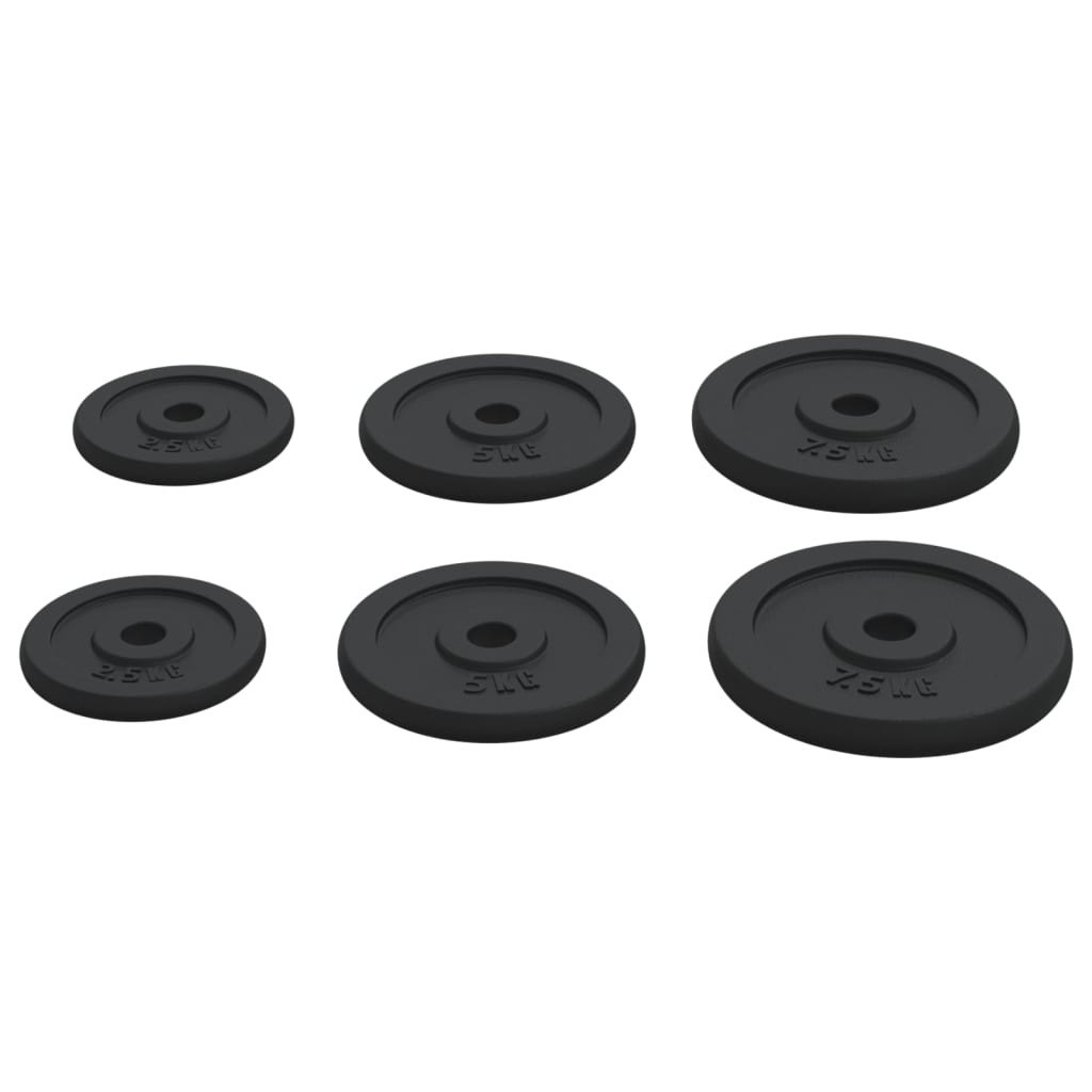 Hantelscheibe 40 kg Gusseisen