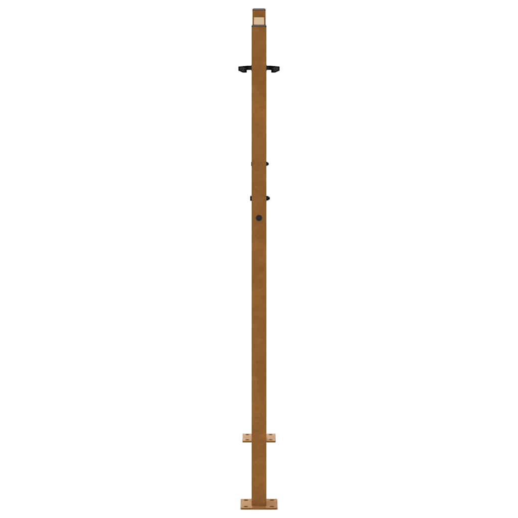 Gartentor Schwarz 100x100 cm Stahl Lichtdesign