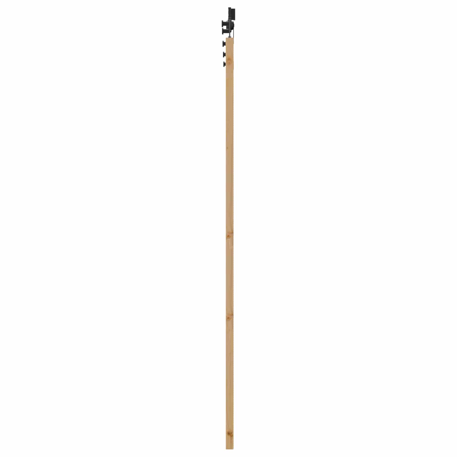 Schiebetür Natürlich und Schwarz 61 x 198,5 cm