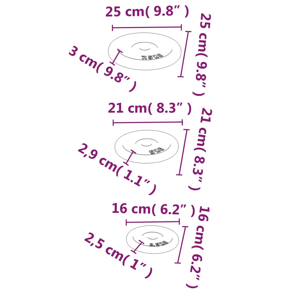Hantelscheibe 40 kg Gusseisen
