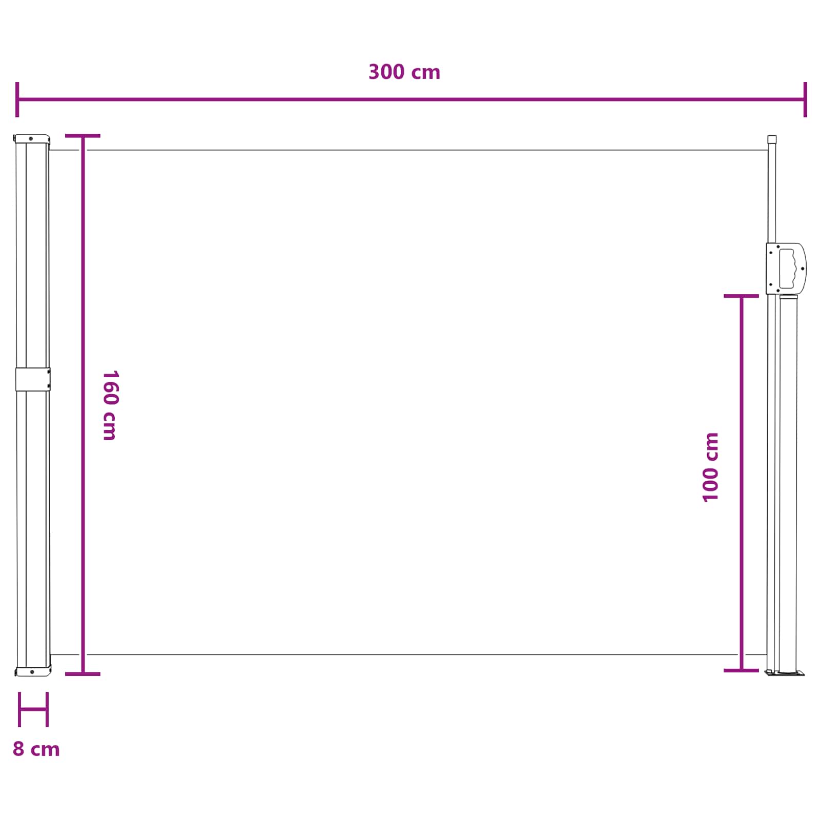 Ausziehbares Seitenmarkise Anthrazit 300 x 100 cm Polyester