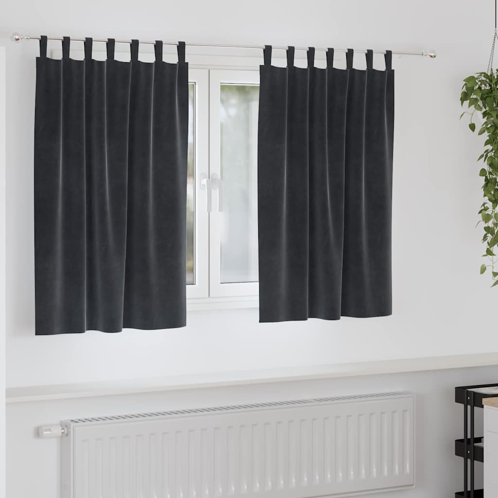 Verdunkelungsvorhänge 2 pcs Schwarz 140 x 140 cm Samt