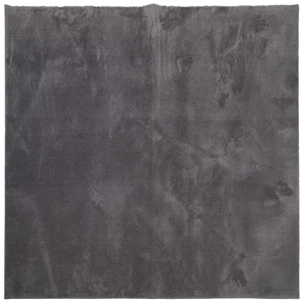 Teppich HUARTE Kurzflor Weich und Waschbar Anthrazit 60x110 cm