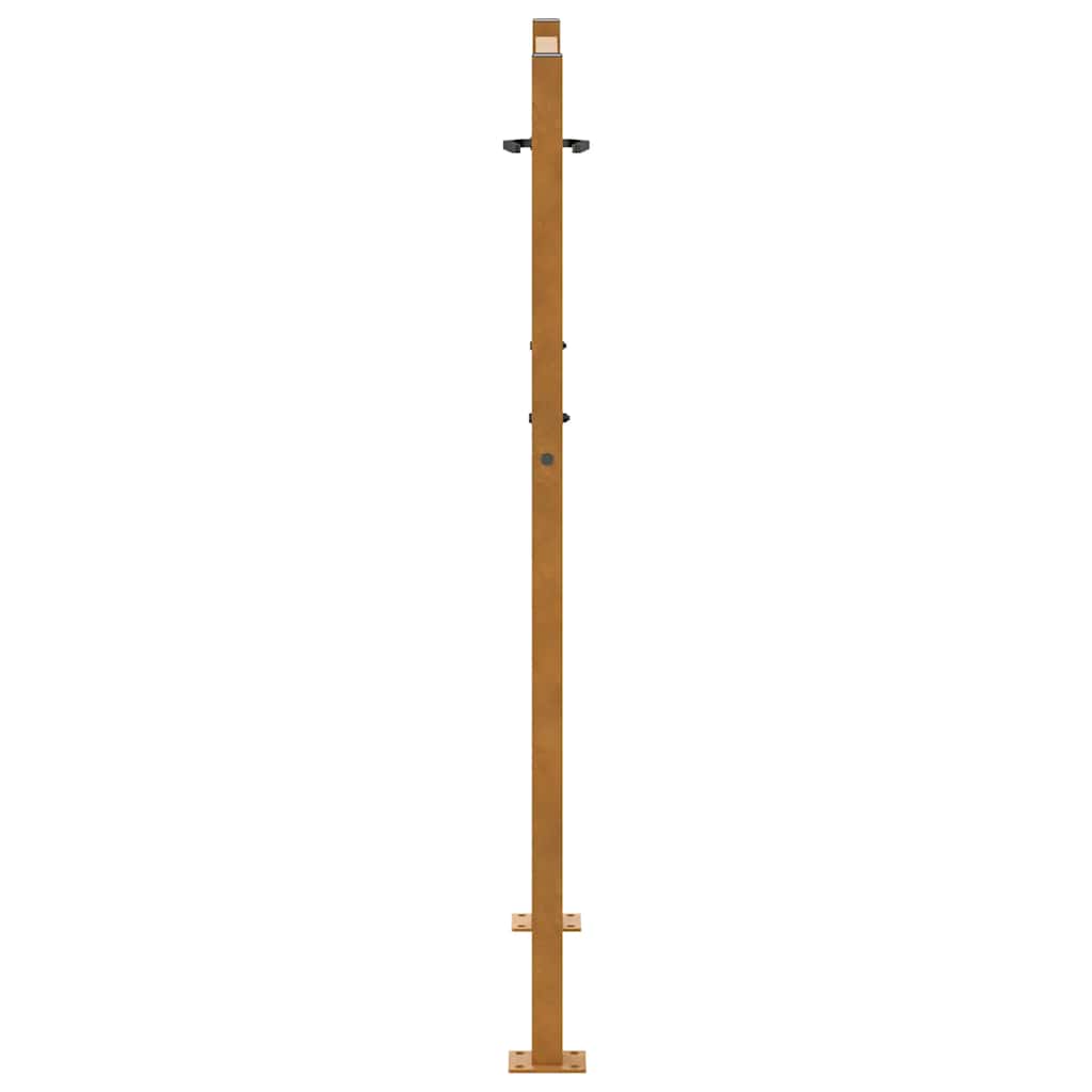 Gartentor Schwarz 100x100 cm Stahl Lichtdesign