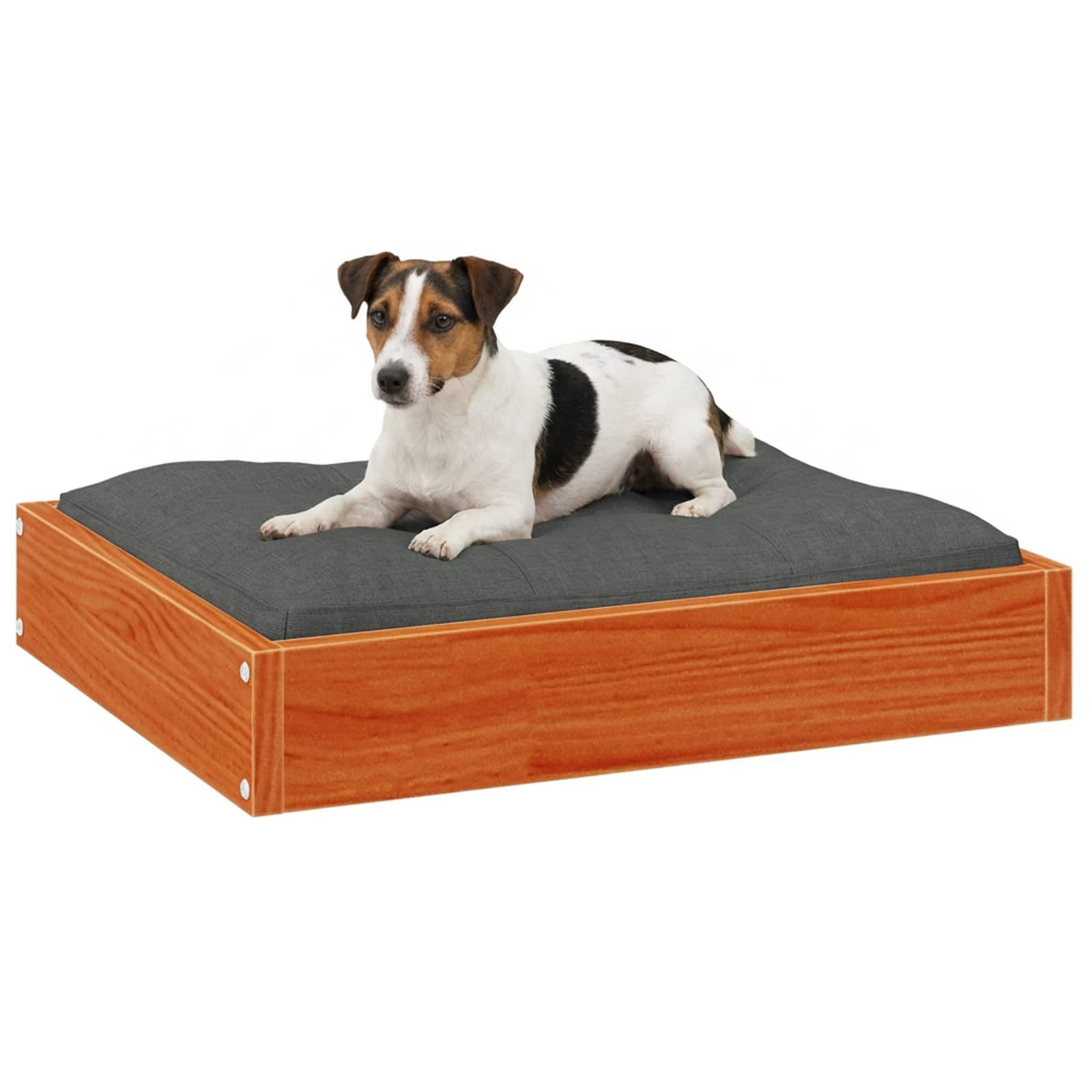 Hundebett 51,5x44x9 cm Massivholz Kiefer