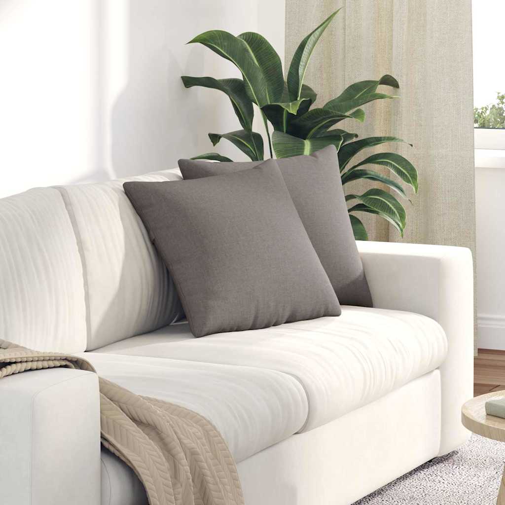 Sofakissen 2 pcs Hellgrau 50 x 30 cm Stoff