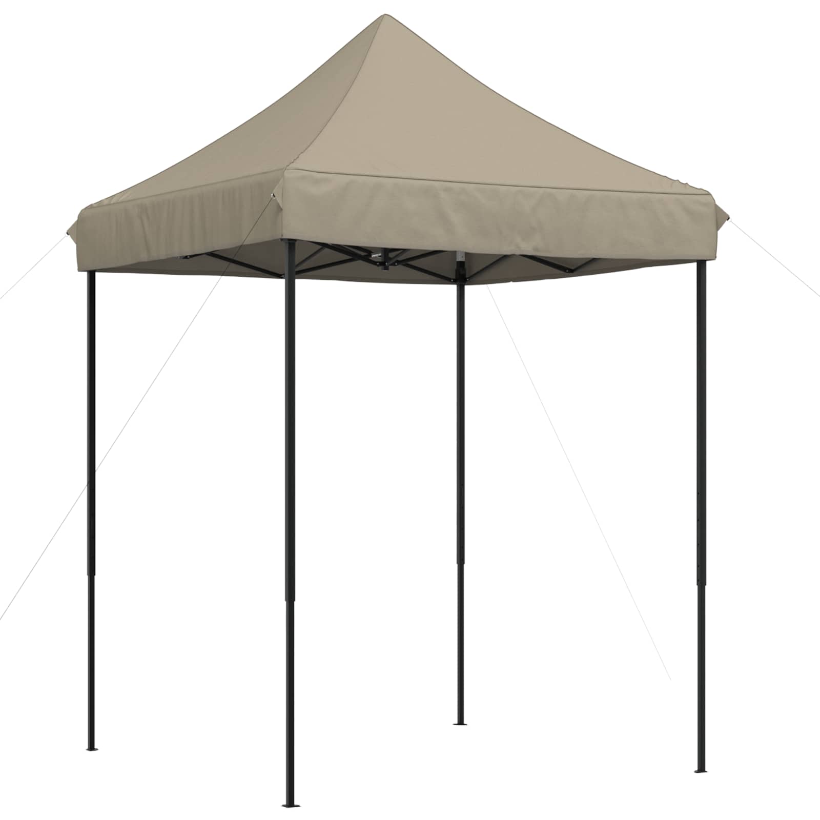Partyzelt Faltbar Pop-Up Schwarz 200x200x306 cm