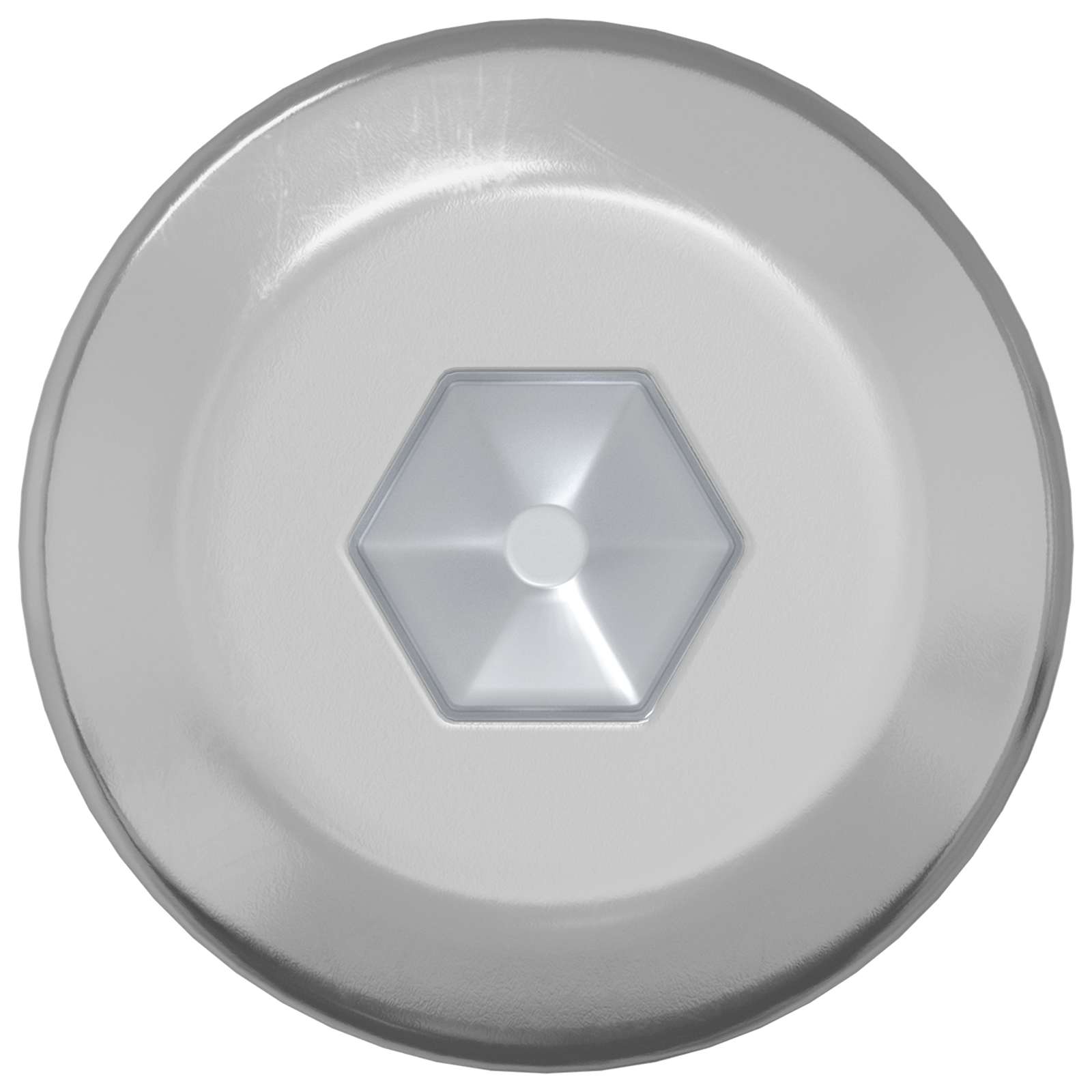 Schraube 2 pcs Silber M6 x 50 mm Stahl