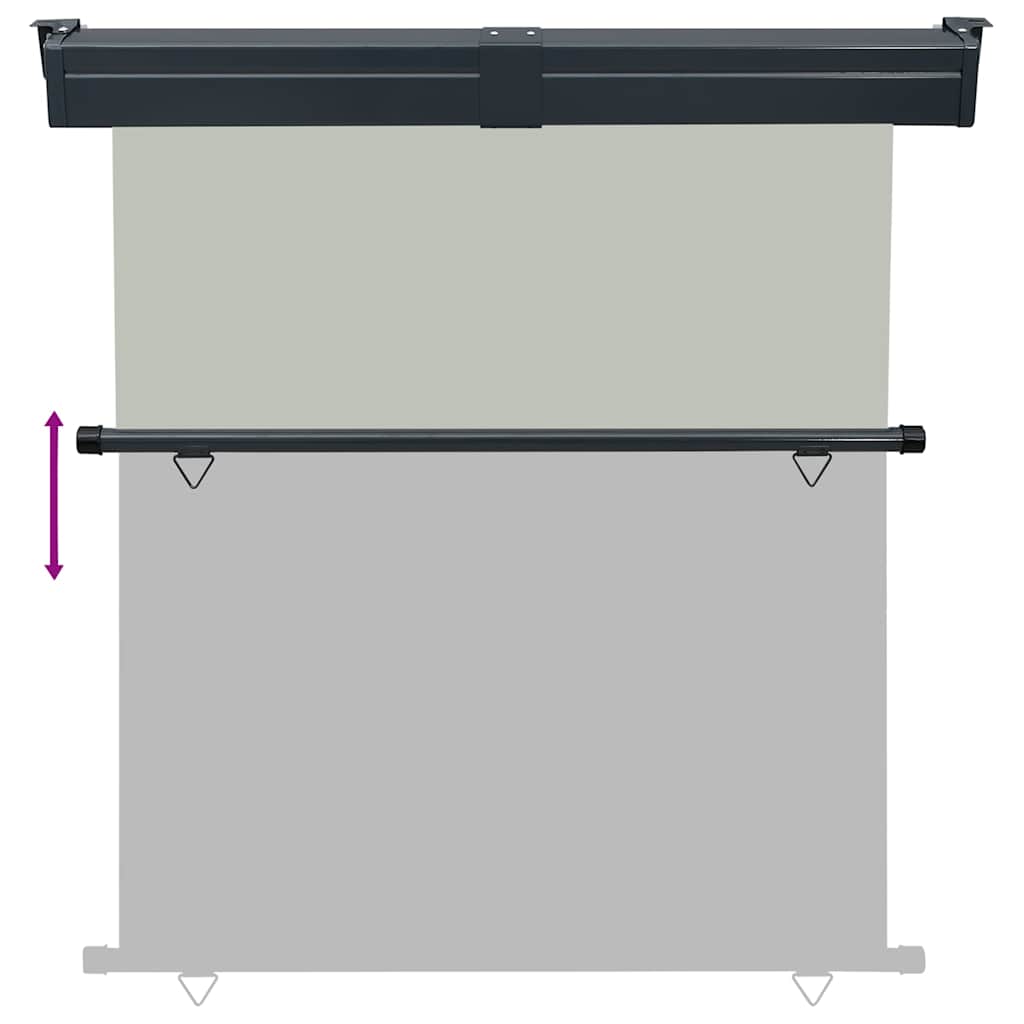 Balkon Seitenmarkise 60 x 250 cm 100% Polyester Eisen Stahl
