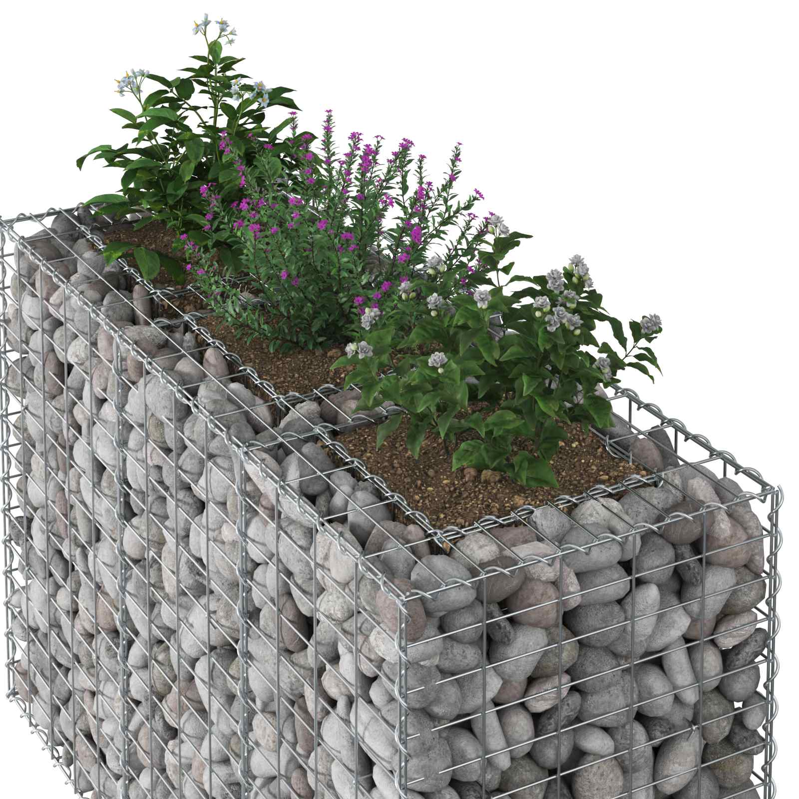 Gabionen Hochbeet 2 pcs Silber 260 x 60 x 55 cm
