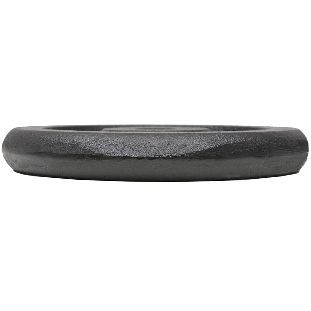 Hantelscheibe 40 kg Gusseisen