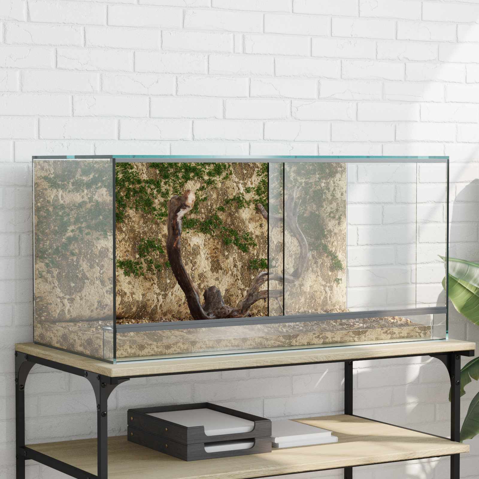 Terrarium mit Speicher Transparent 30 x 30 x 30 cm Glas