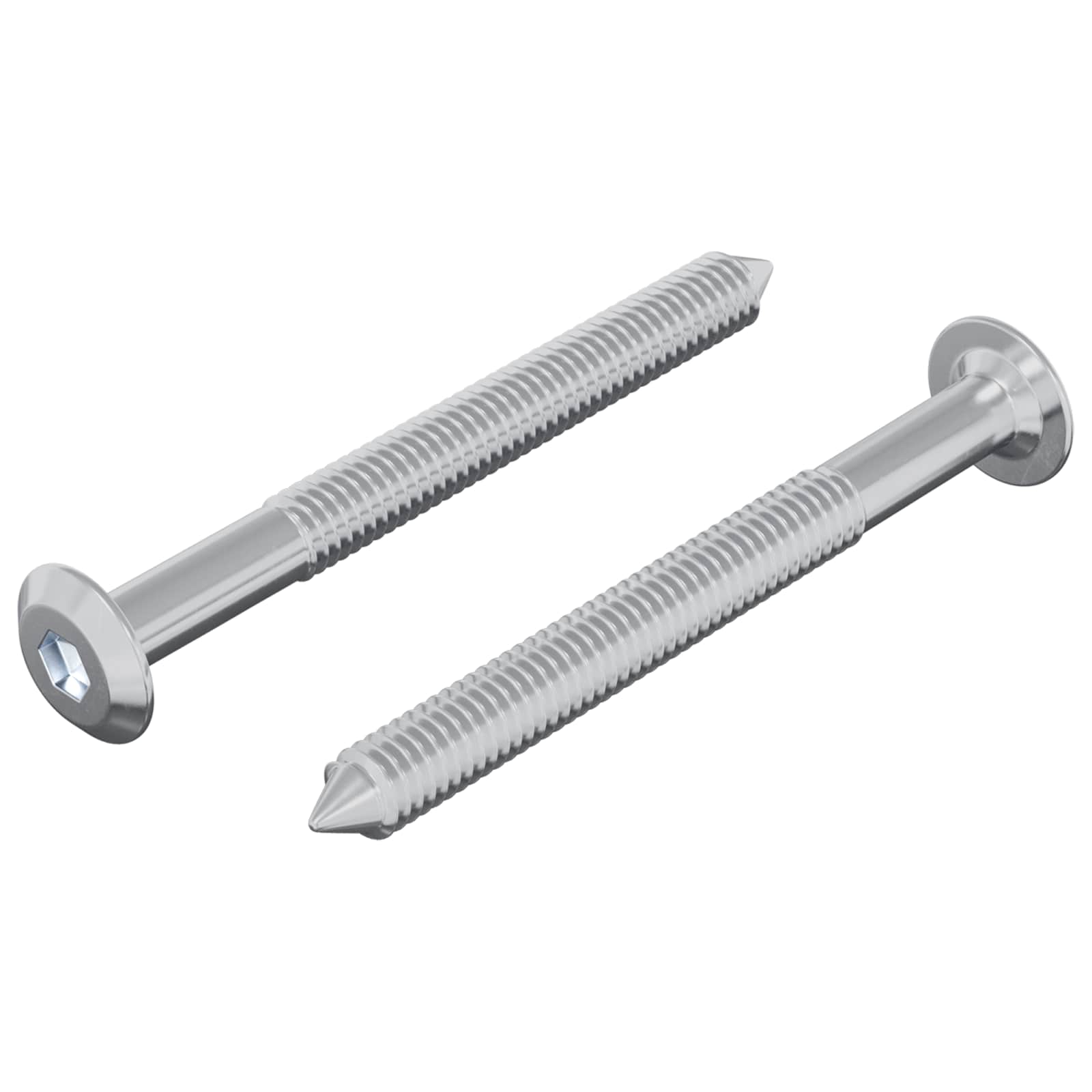 Schraube 2 pcs Silber M6 x 50 mm Stahl