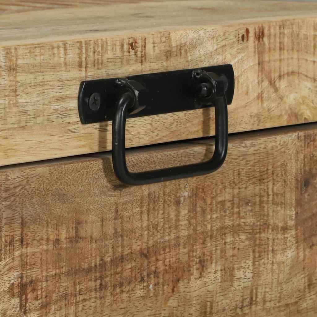 Aufbewahrungs-Truhen Braun 40 x 30 x 30 cm Massivholz Mango
