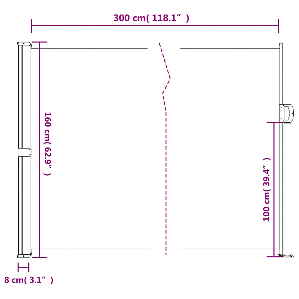 Seitenmarkise Ausziehbar Schwarz 100x300 cm