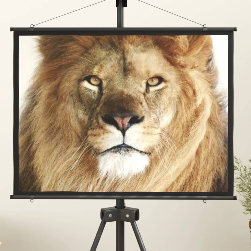 Beamer Leinwand 89" 1:1