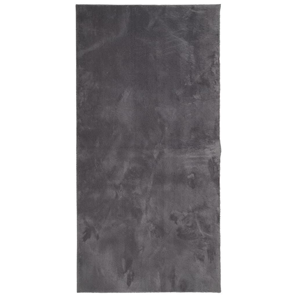 Teppich HUARTE Kurzflor Weich und Waschbar Anthrazit 60x110 cm