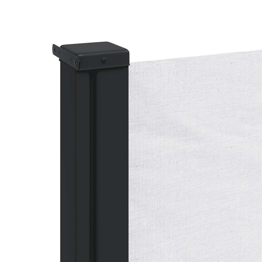 Seitenmarkise Ausziehbar Schwarz 100x300 cm