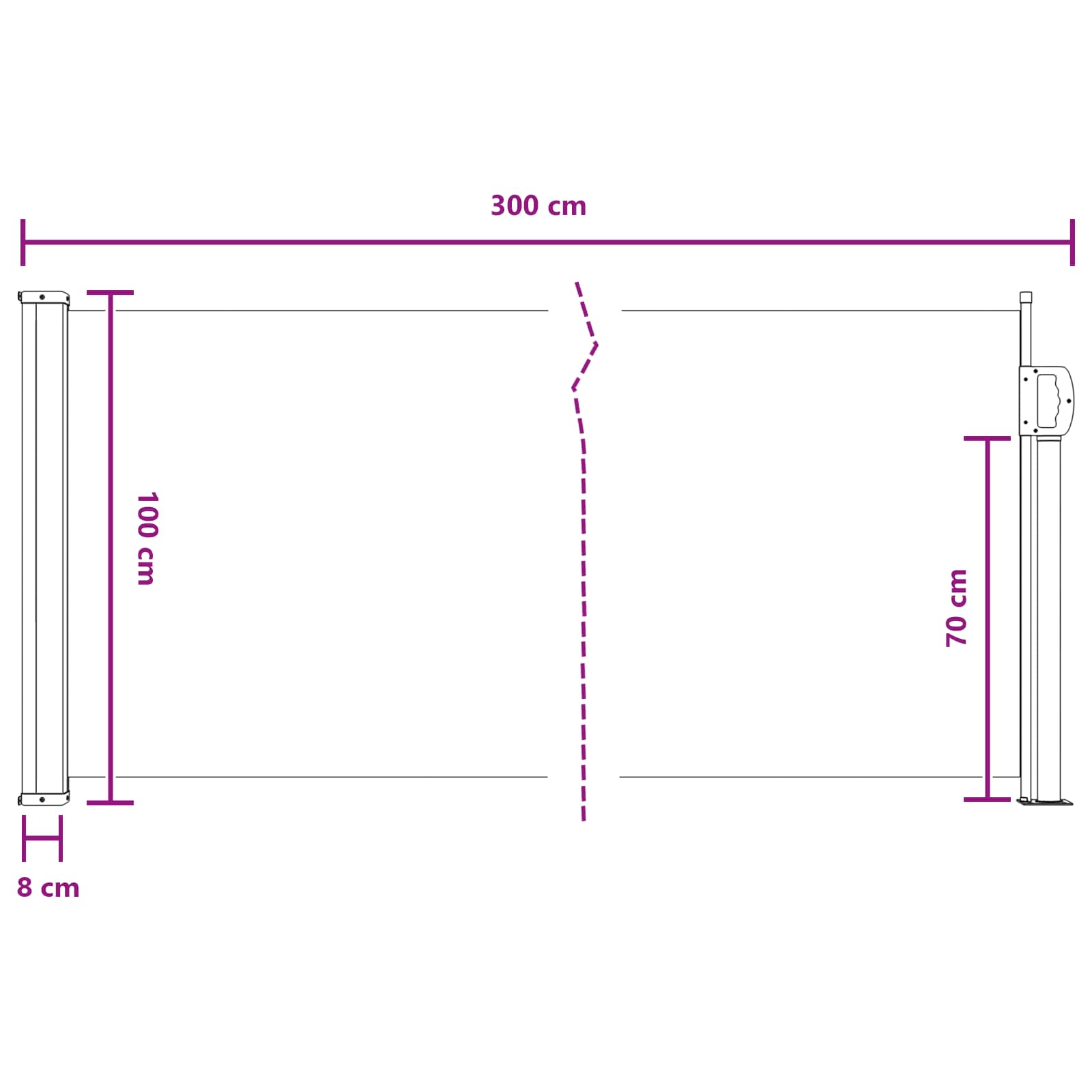 Ausziehbares Seitenmarkise Anthrazit 300 x 100 cm Polyester