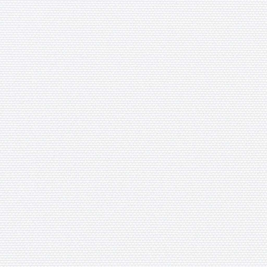 Seitenmarkise Ausziehbar Schwarz 100x300 cm