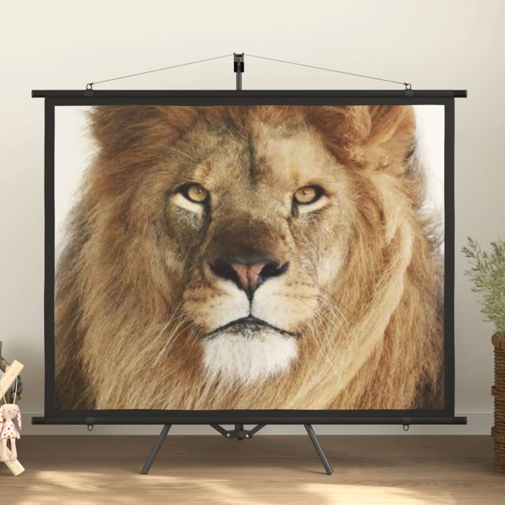 Beamer Leinwand 89" 1:1