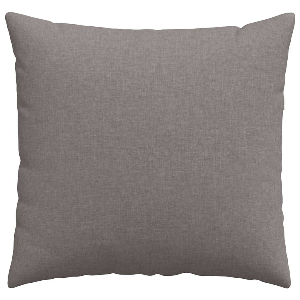Sofakissen 2 pcs Hellgrau 50 x 30 cm Stoff