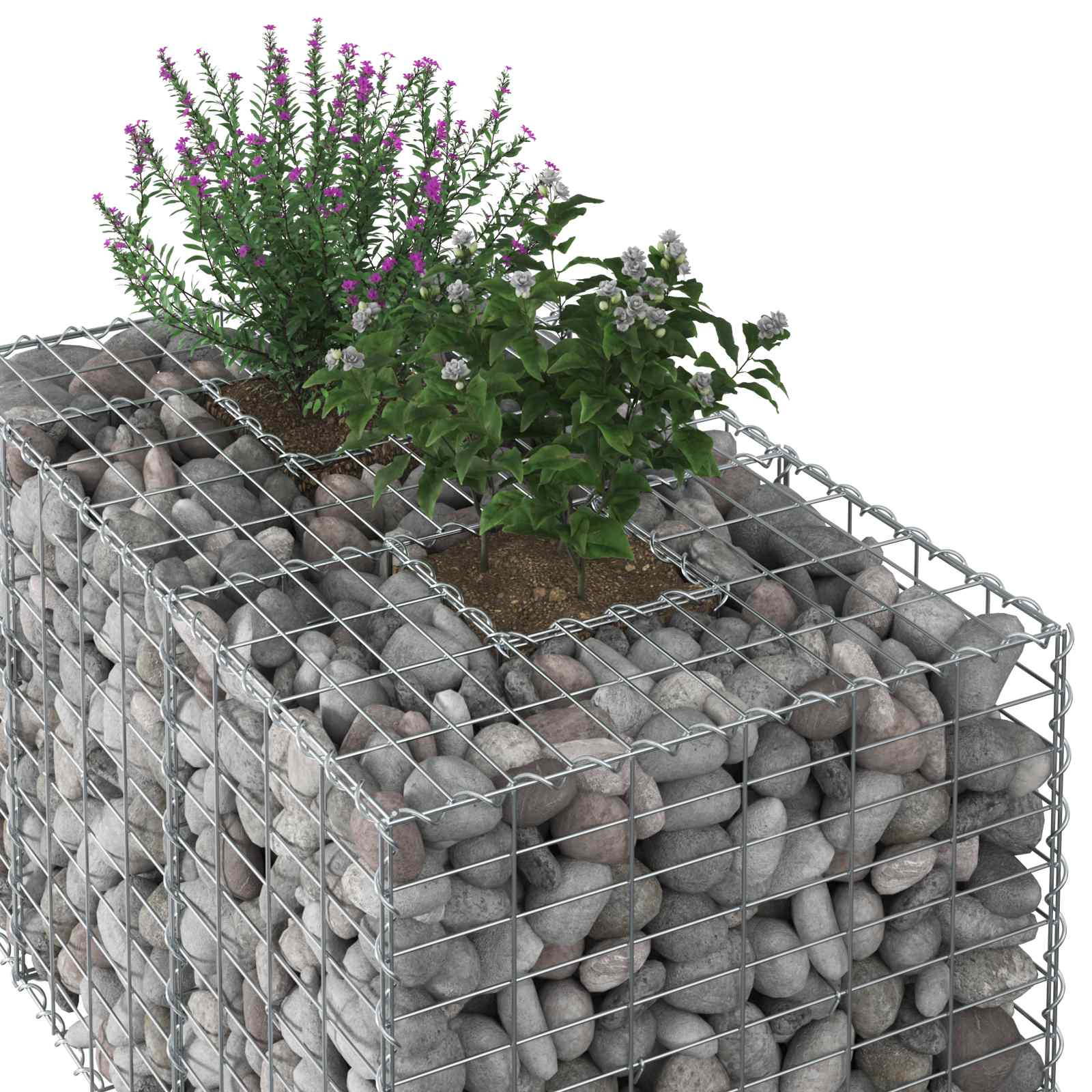 Gabionen Hochbeet 2 pcs Silber 260 x 60 x 55 cm