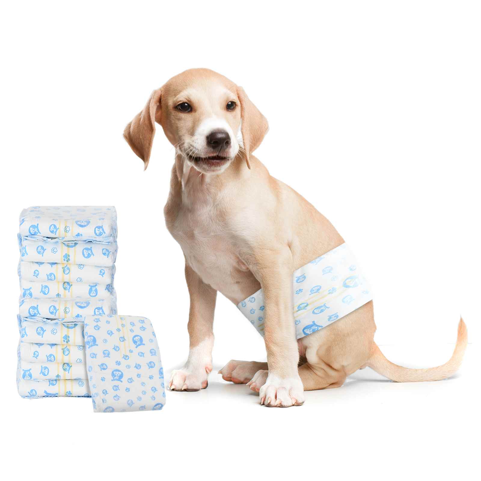 Einweg-Hundewindel für Rüden 30 pcs Weiß XS