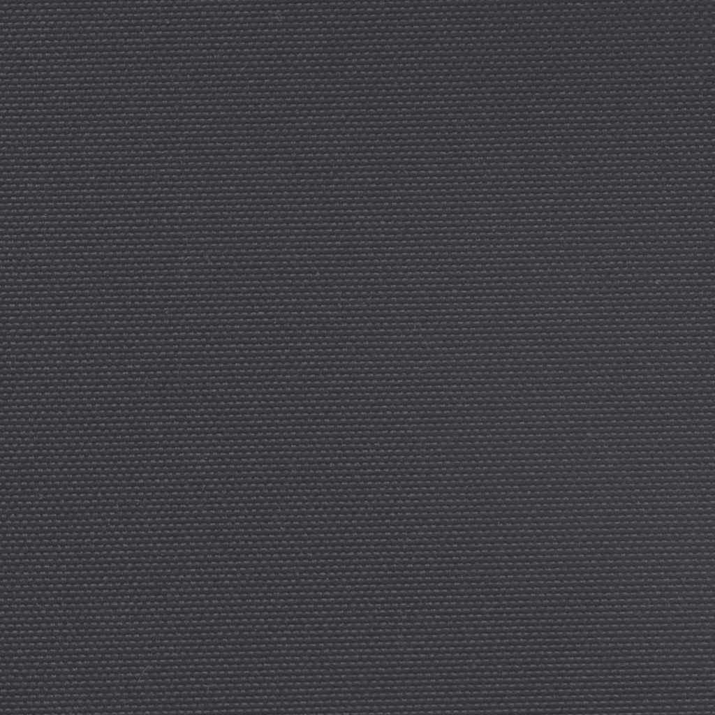 Seitenmarkise Ausziehbar Schwarz 100x300 cm