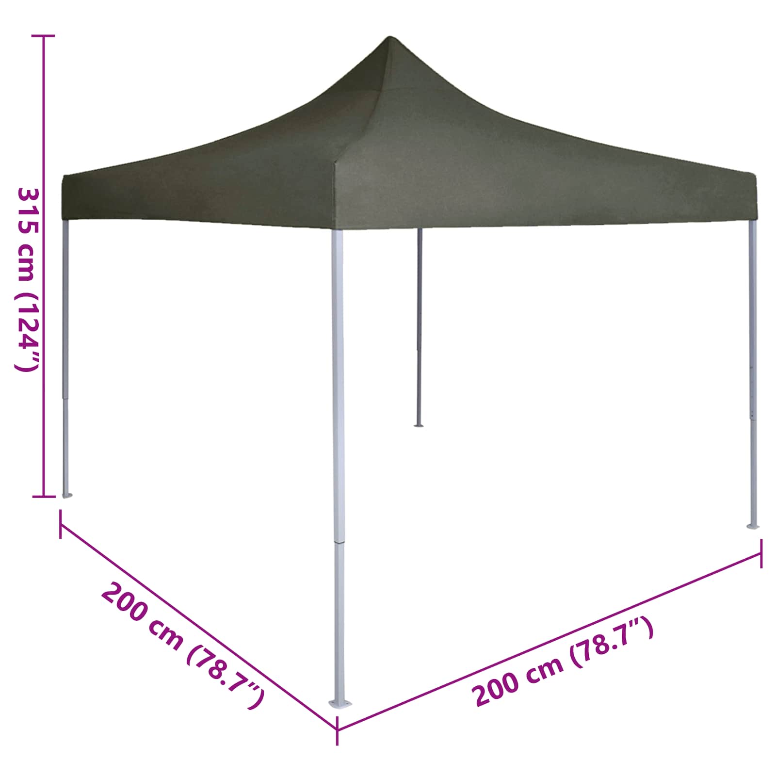 Partyzelt Faltbar Pop-Up Schwarz 200x200x306 cm